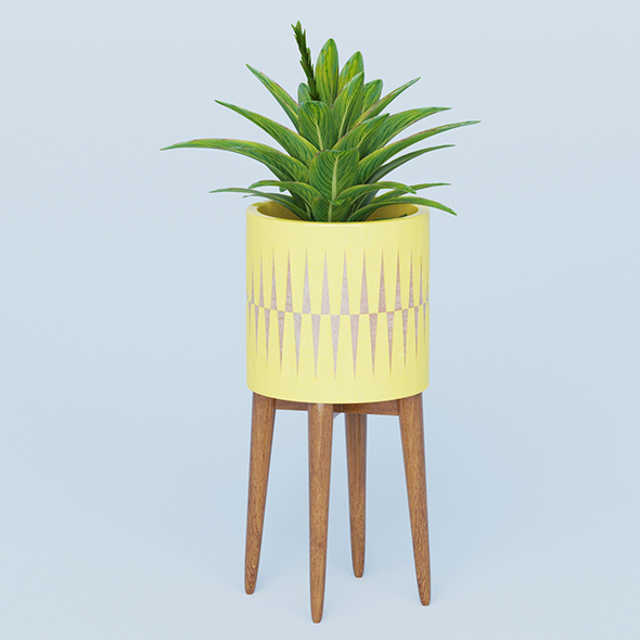 Vray Ready Potted - 3Docean 20561176