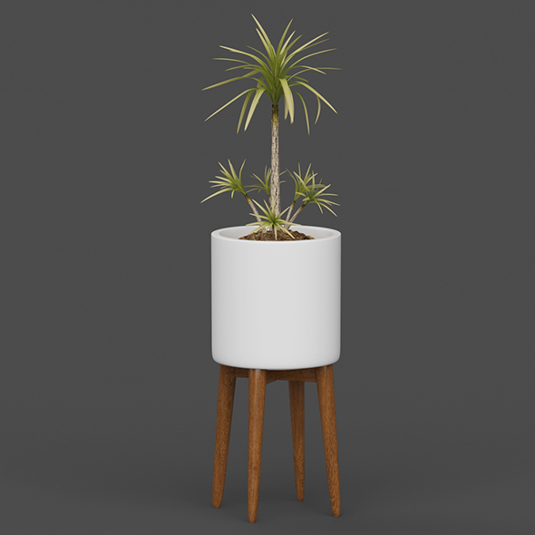 Vray Ready Potted - 3Docean 20561345