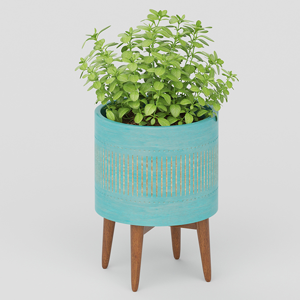 Vray Ready Potted - 3Docean 20561636