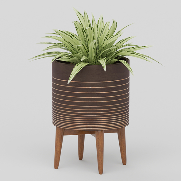 Vray Ready Potted - 3Docean 20561641