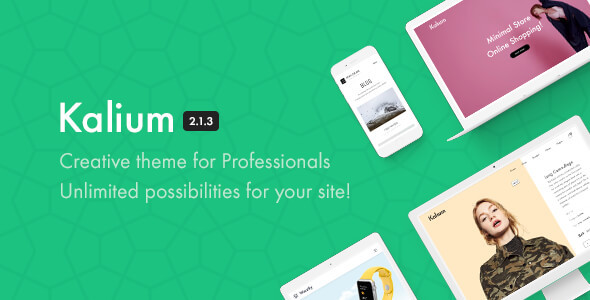 Kalium - Creative Theme for Professionals - Portfolio Creative