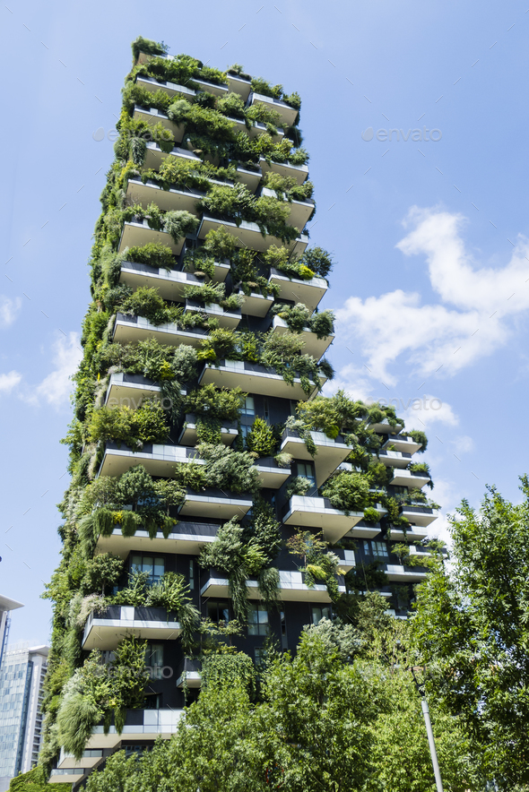 The Vertical Wood buildings in Milan.