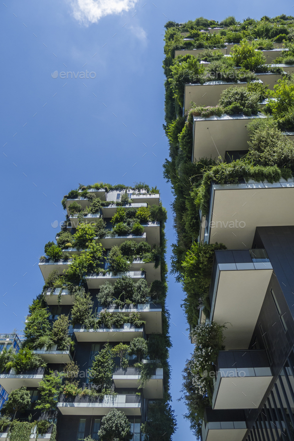 The Vertical Wood buildings in Milan.
