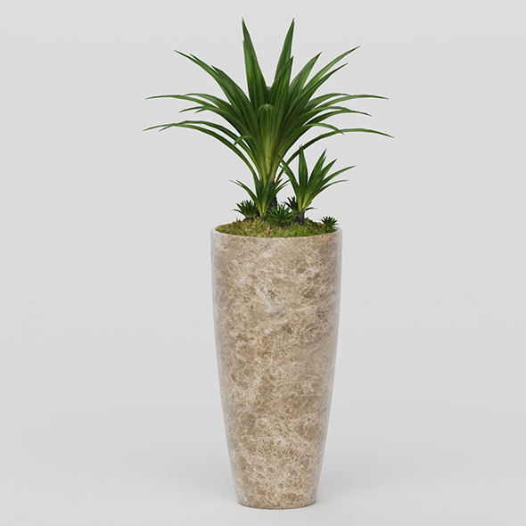 Vray Ready Potted - 3Docean 20564395