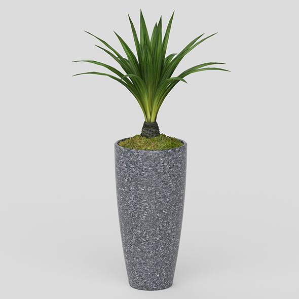 Vray Ready Potted - 3Docean 20564403