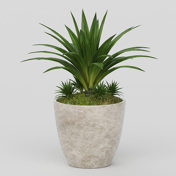 Vray Ready Potted - 3Docean 20564415