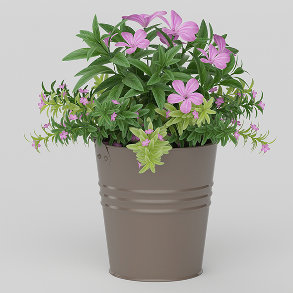 Vray Ready Potted - 3Docean 20564426
