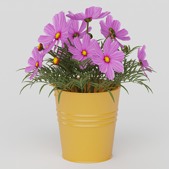 Vray Ready Potted - 3Docean 20564444