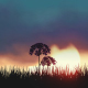 Flowers and Grass at Sunset - VideoHive Item for Sale