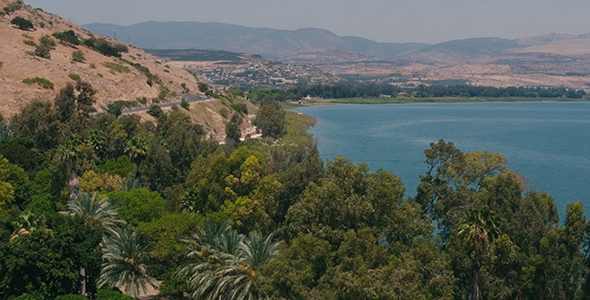 Drone trees, Mountains and the Sea of Galilee