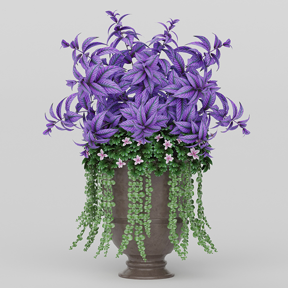 Vray Ready Potted - 3Docean 20570621