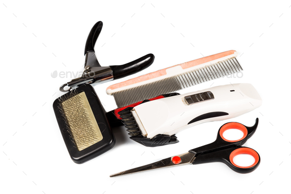 dog grooming instruments