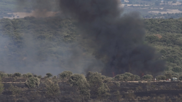 Forest of Holm Oak Burning with Black Smoke, Long Shot in alt