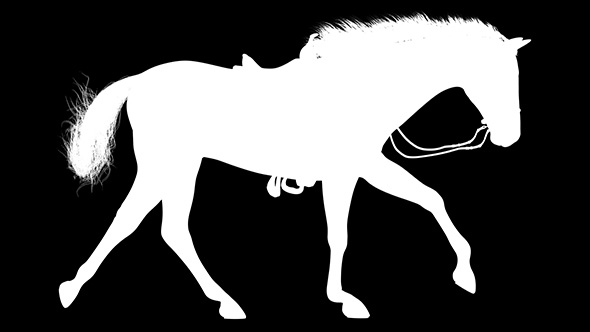 3D Horse Canter Silhouette