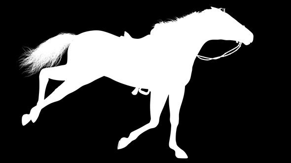 3D Horse Gallop Silhouette
