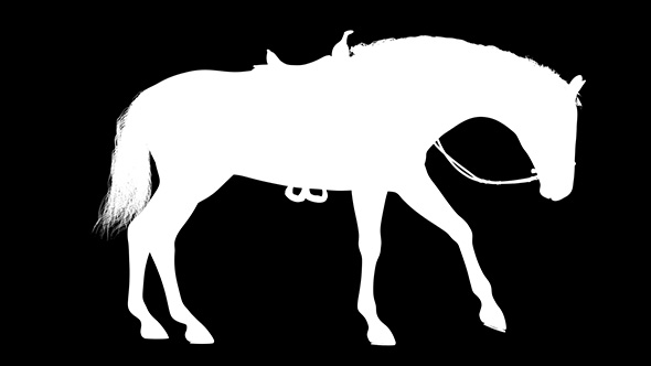 3D Horse Scratch Silhouette