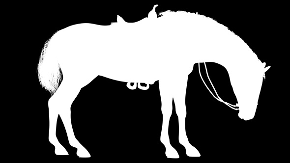 3D Horse Feed Silhouette