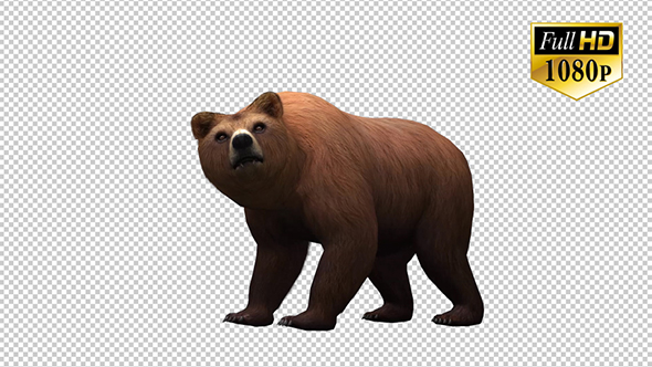 3D Bear 2 alt