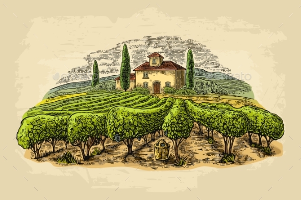Rural Landscape with Villa and Vineyard Fields - Flowers & Plants Nature