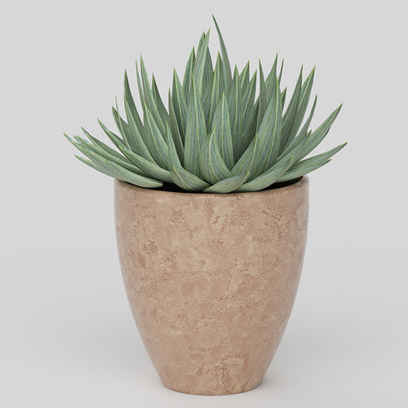 Vray Ready Potted - 3Docean 20585553