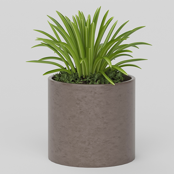 Vray Ready Potted - 3Docean 20585738
