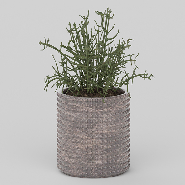 Vray Ready Potted - 3Docean 20585760