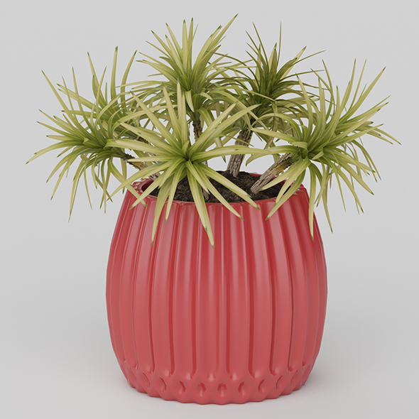Vray Ready Potted - 3Docean 20585796
