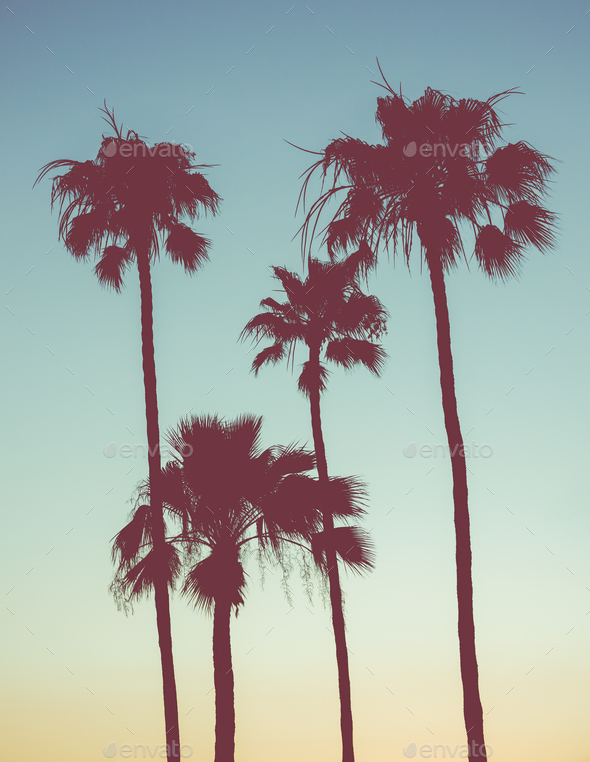 Retro Sunset Palms
