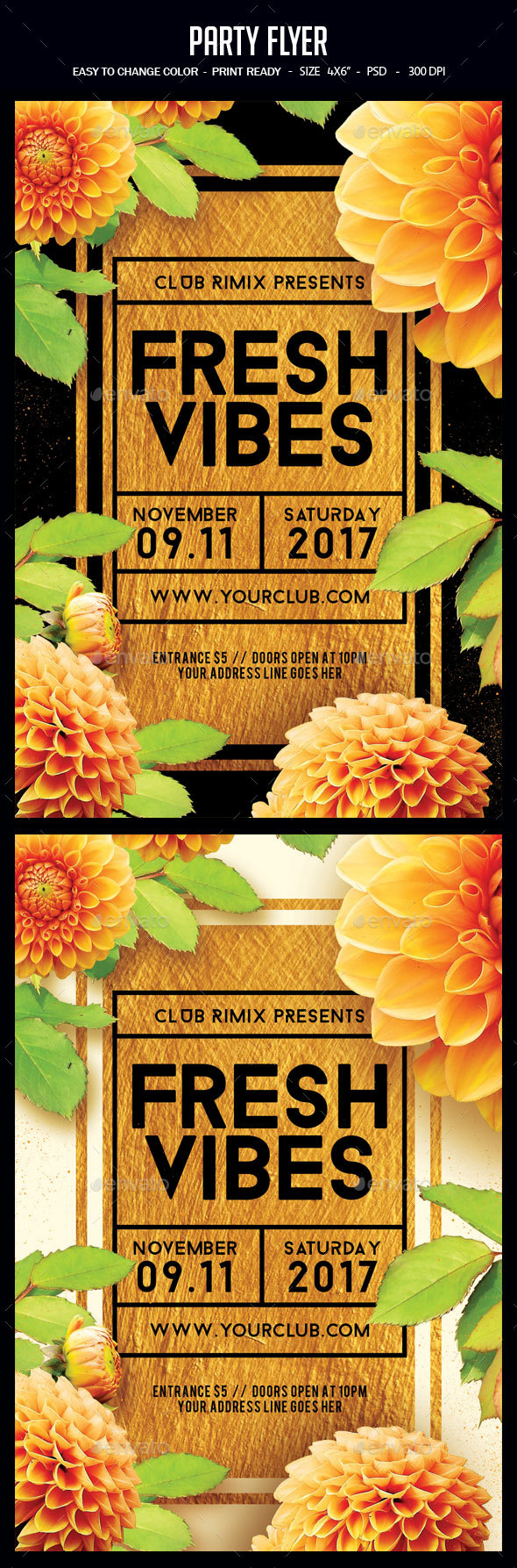 Party Flyer - Clubs & Parties Events