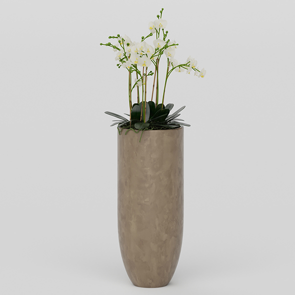 Vray Ready Potted - 3Docean 20587446