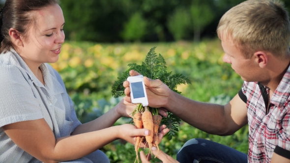 Carrot Analysis On Nitrates And Radiation alt