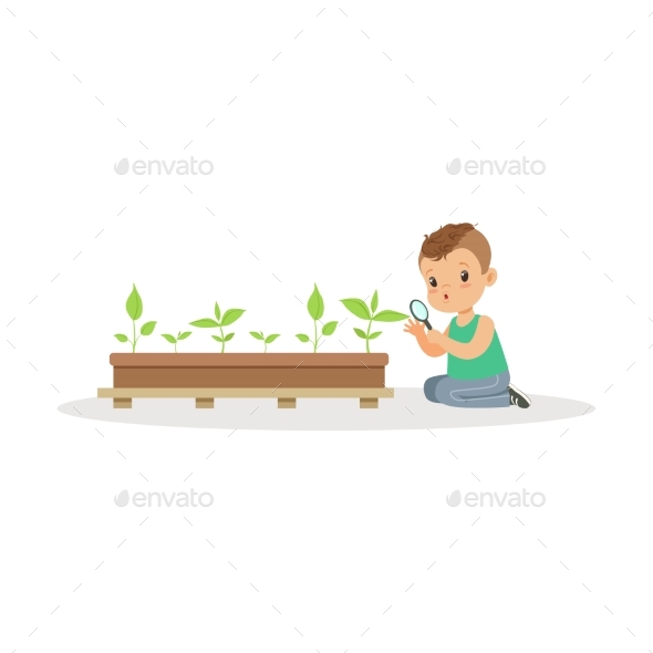 Boy Examining Plants - Flowers & Plants Nature
