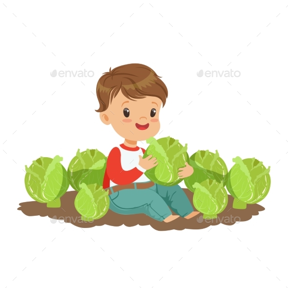 Boy Playing with Cabbage in the Garden - Food Objects