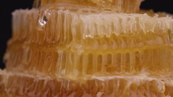 Honey combs spin over black alt