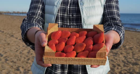 Female Hands Holding Wooden Box Full of Ripe Straberry