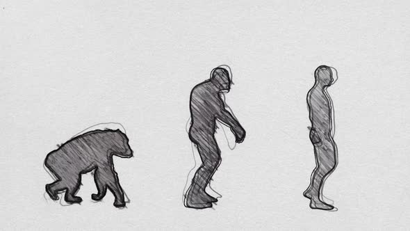 Human Evolution Timeline Walking In Pencil Sketch Seamless Loop alt