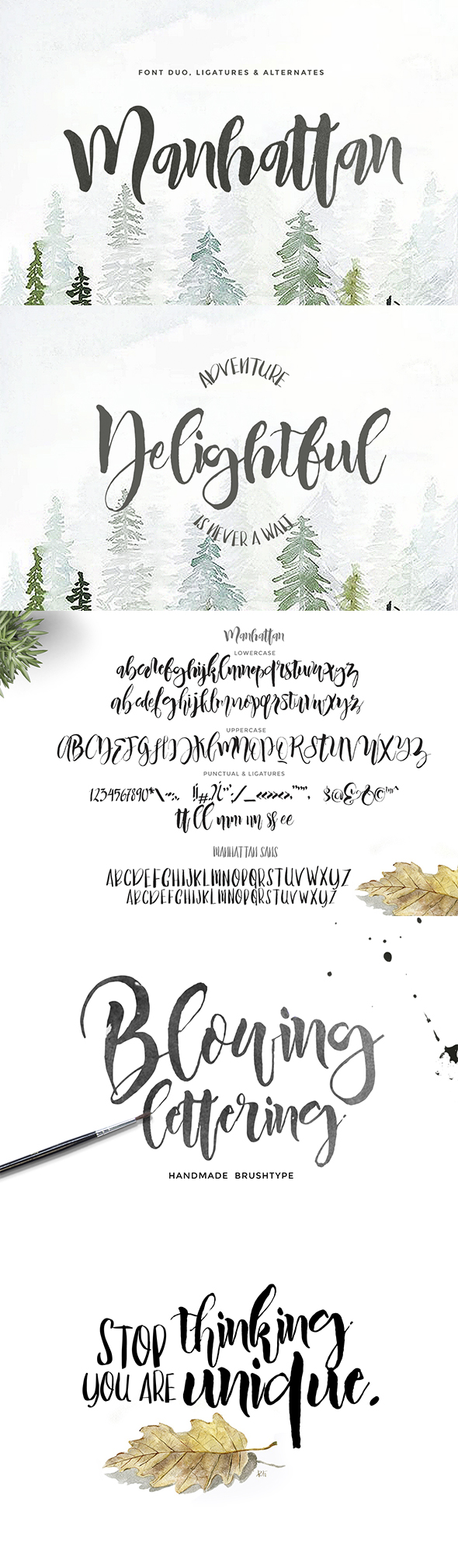 Manhattan Script - Hand-writing Script