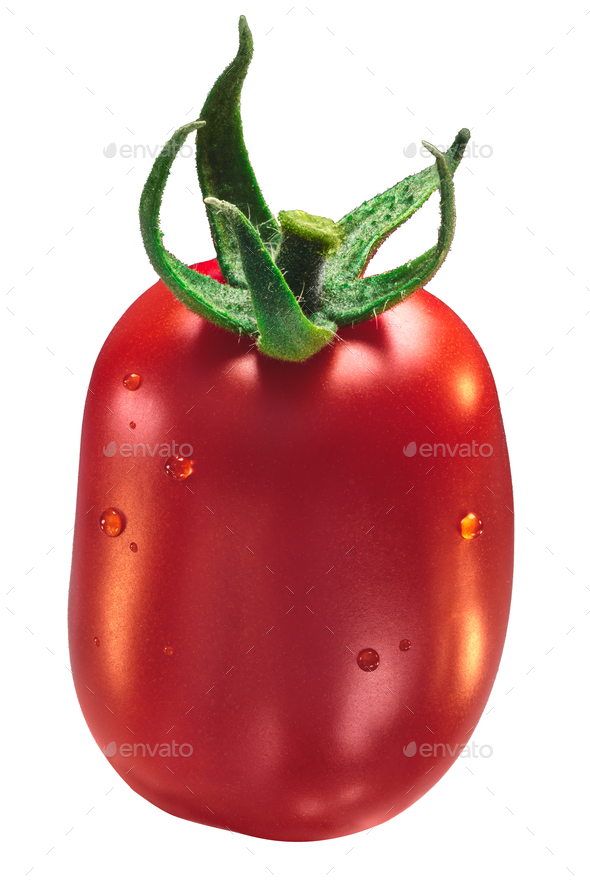 Roma VF plum tomato, paths - Stock Photo - Images