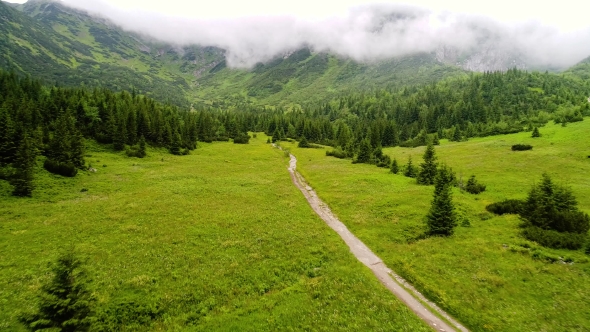 Flight Over Forest in Mountains