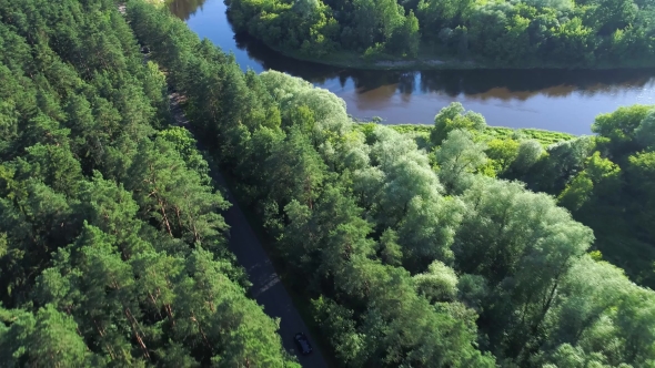 Aerial View of Sport Car Driving in Forest