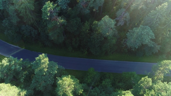 Aerial View of Sport Car Driving in Forest