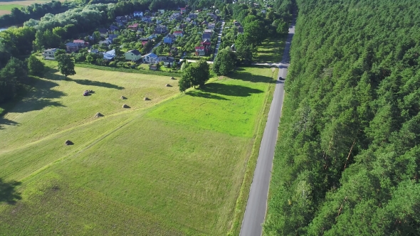 Aerial View of Sport Car Driving in Forest