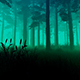 Fog Forest - VideoHive Item for Sale