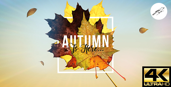 Autumn Logo Reveal - VideoHive 20597111