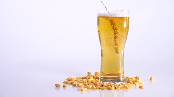 Beer Is Pouring Into Glass on White Background with Pickled Peanuts