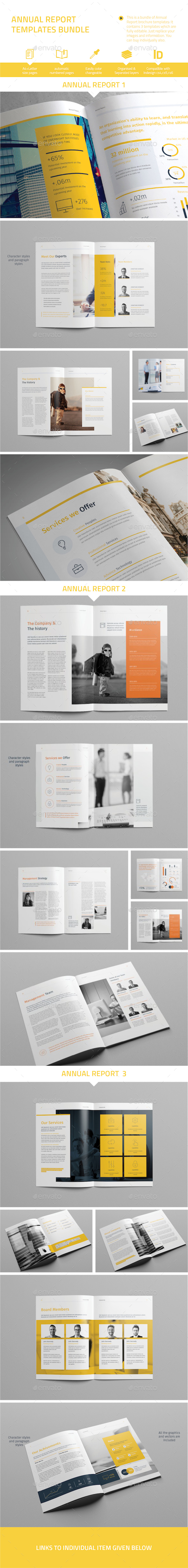 Annual Report Template Bundle - Informational Brochures
