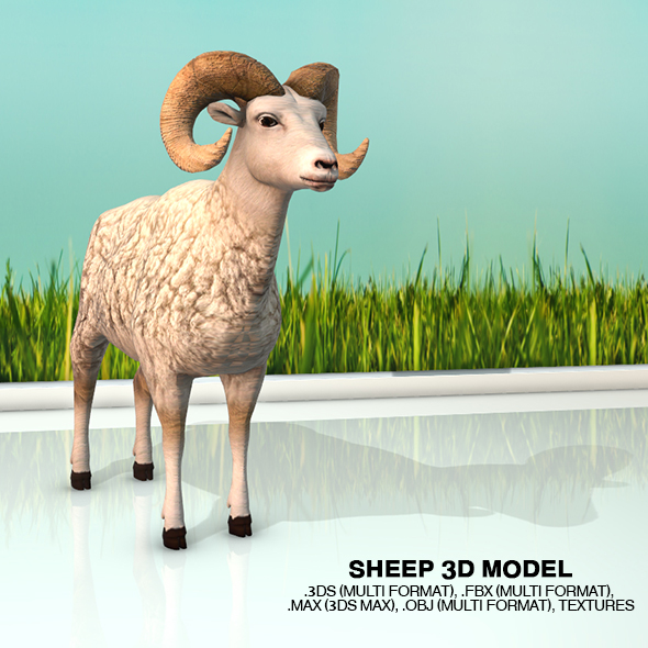 Sheep - 3Docean 20570485