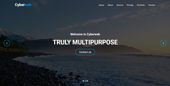 Cyberweb - Responsive Onepage Multipurpose Template