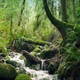 Scenic Forest River - VideoHive Item for Sale