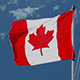 Canadian Flag Blowing In The Wind Canadian Flag Blowing In The Wind - VideoHive Item for Sale